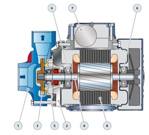 Pedrollo pump cross section diagram