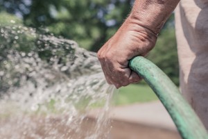 Garden hose delivering water