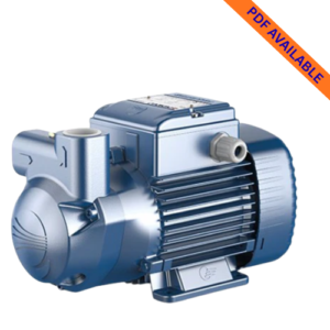 Pedrollo diesel transfer pump South Africa irrigation and industrial water pump